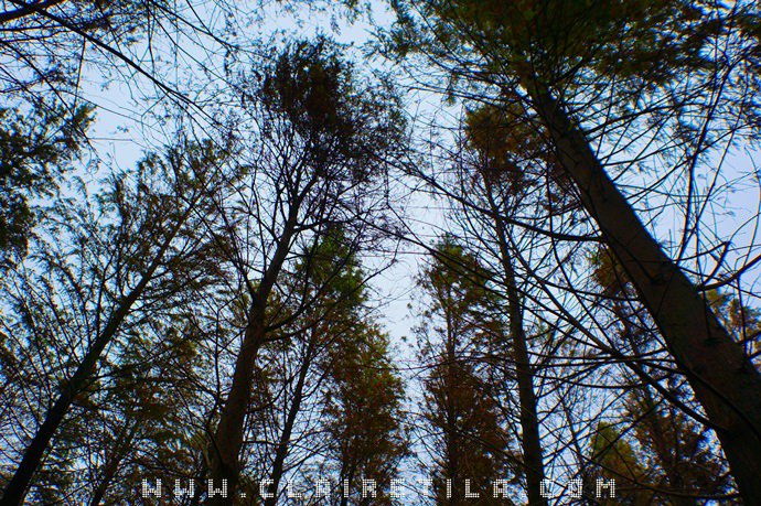 20251024-vm2hq 20251024-vm2hq