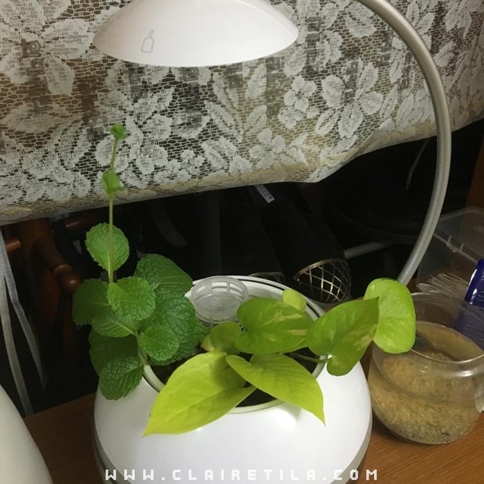 20251024-vyped 20251024-vyped