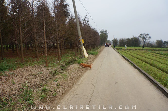 20251024-vz3h2 20251024-vz3h2