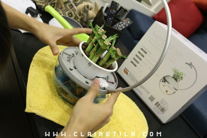 20251024-x71mh 20251024-x71mh