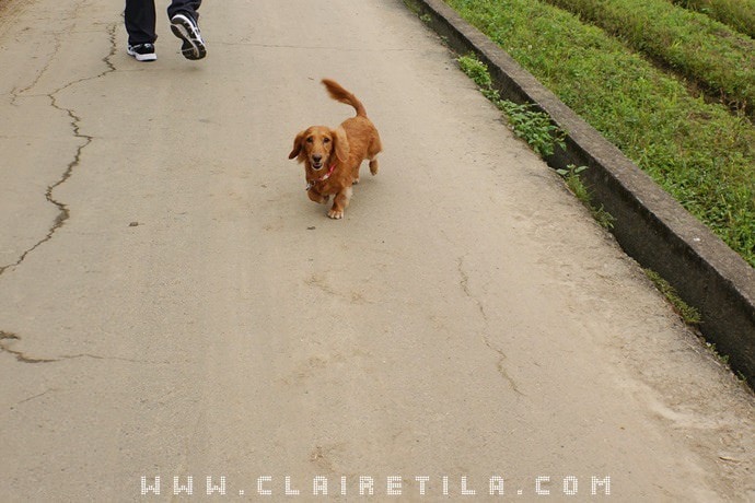 20251024-xlf30 20251024-xlf30