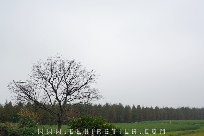 20251024-zqkep 20251024-zqkep