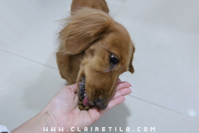 20251024-3lbqz 20251024-3lbqz