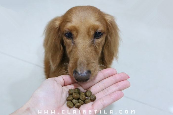 20251024-3y9r4 20251024-3y9r4