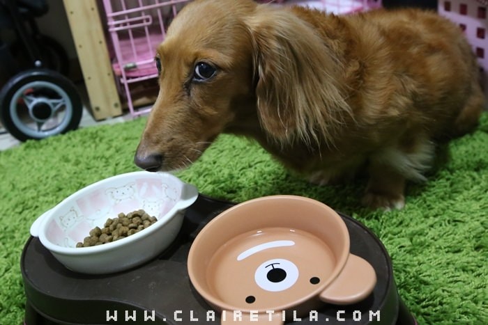 20251024-4z1rh 20251024-4z1rh