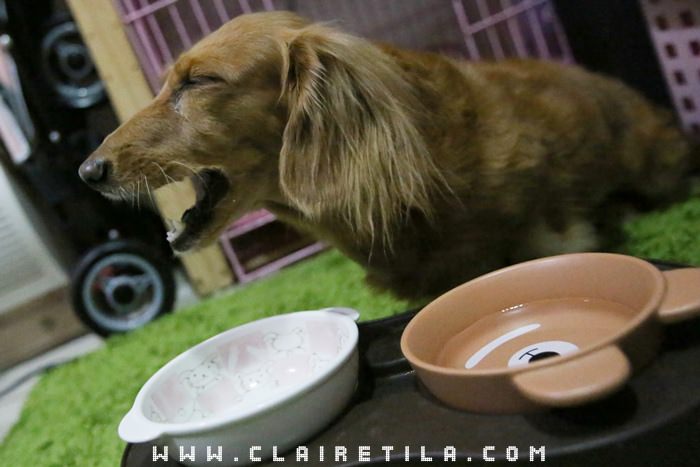 20251024-7edgw 20251024-7edgw