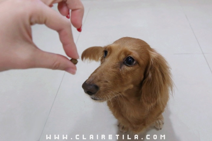 20251024-9hqmb 20251024-9hqmb