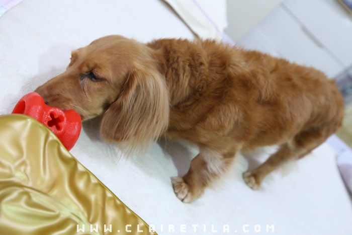 20251024-c4zdz 20251024-c4zdz