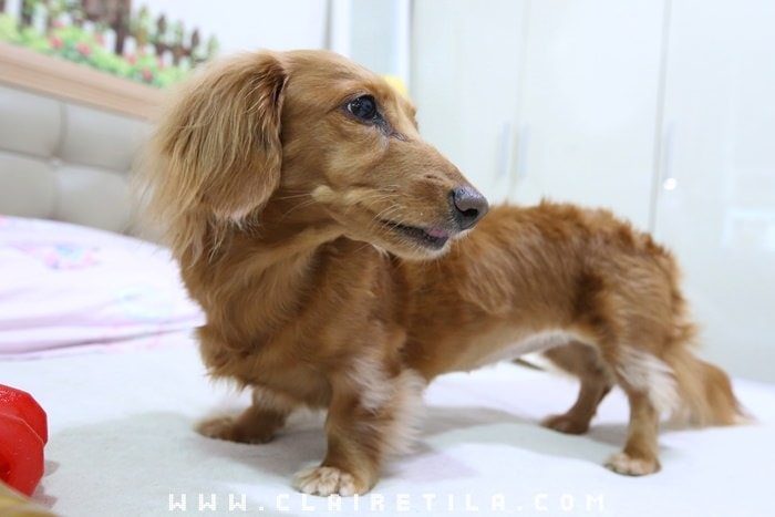 20251024-sk43y 20251024-sk43y