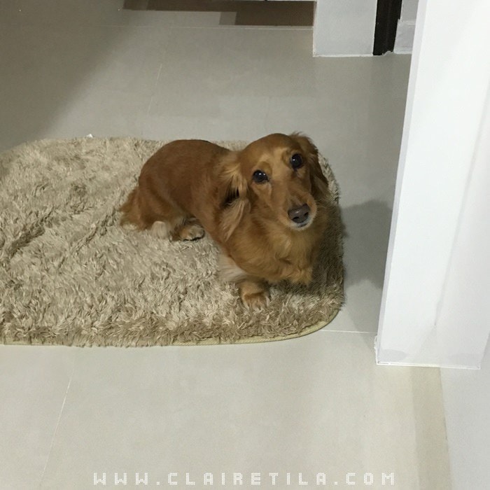 20251024-wuor1 20251024-wuor1