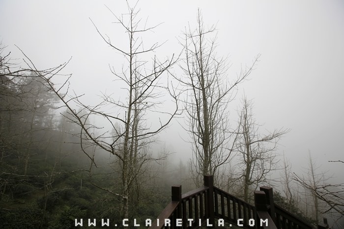 20251024-0yzsg 20251024-0yzsg