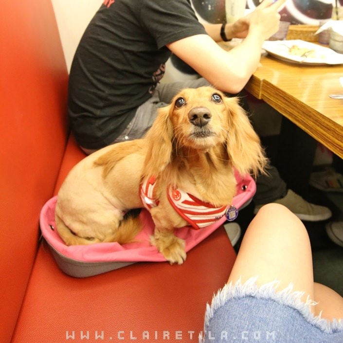 20251024-1lqjf 20251024-1lqjf