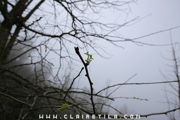 20251024-2xj0r 20251024-2xj0r