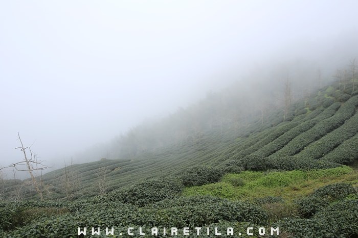 20251024-36fdt 20251024-36fdt