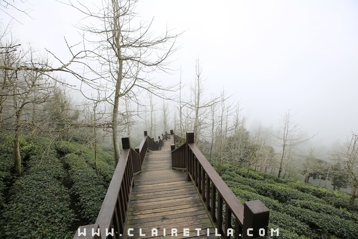 20251024-44unc 20251024-44unc