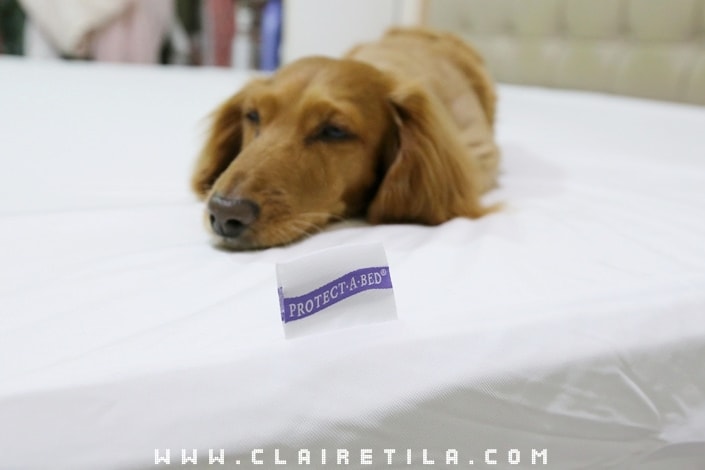 20251024-4s1qb 20251024-4s1qb