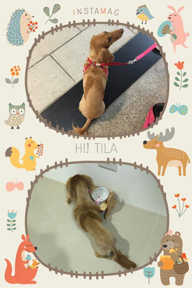 20251024-5y5ck 20251024-5y5ck