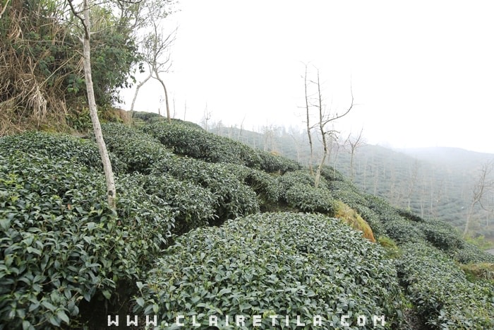 20251024-8olpe 20251024-8olpe