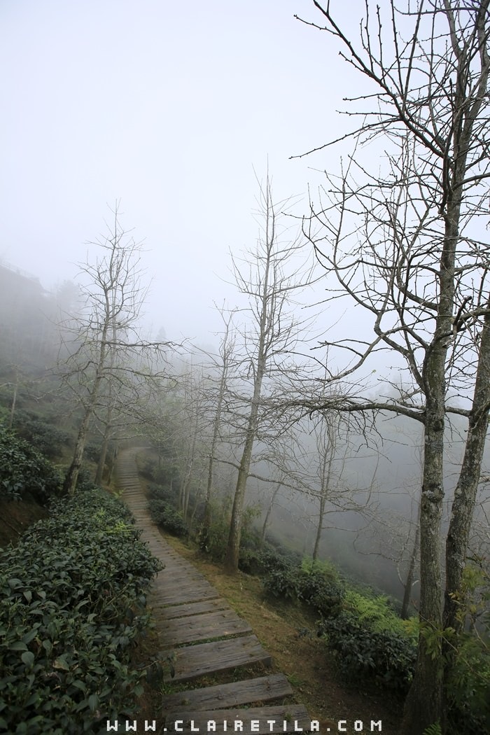 20251024-bogrl 20251024-bogrl