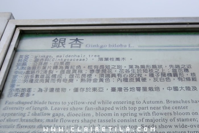 20251024-ebbte 20251024-ebbte