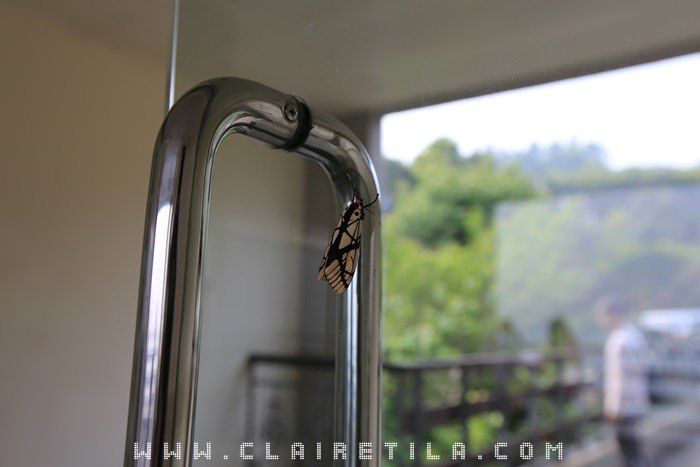 20251024-elpae 20251024-elpae