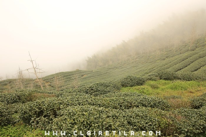 20251024-esfgo 20251024-esfgo