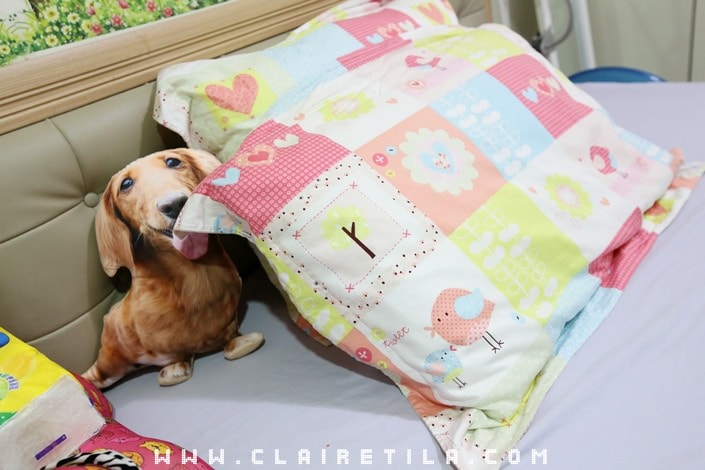 20251024-gwyg7 20251024-gwyg7