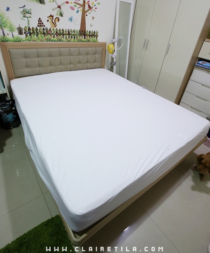 20251024-h0fjg 20251024-h0fjg