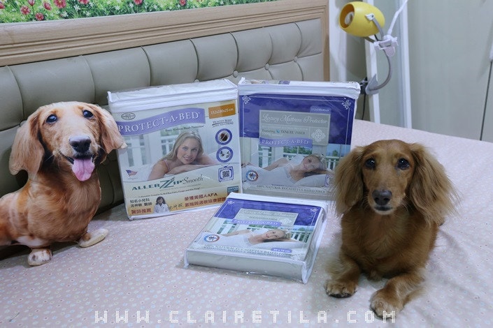 20251024-ief2o 20251024-ief2o