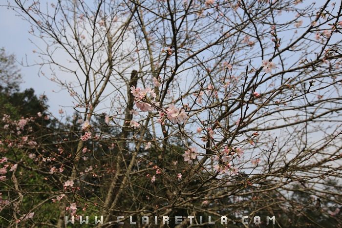 20251024-k6i9c 20251024-k6i9c