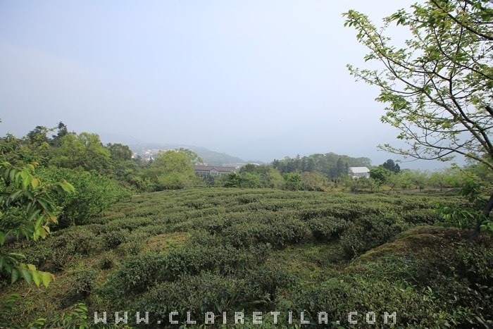 20251024-lfby5 20251024-lfby5