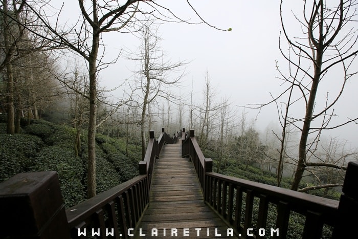 20251024-m4qqr 20251024-m4qqr