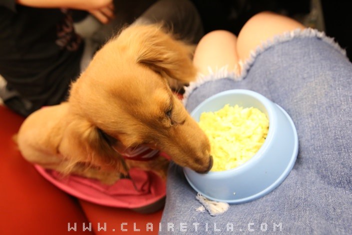 20251024-n9fv2 20251024-n9fv2