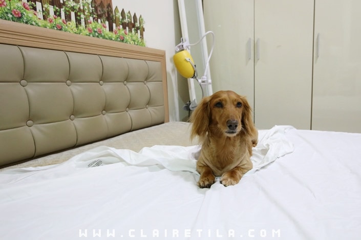 20251024-oben7 20251024-oben7