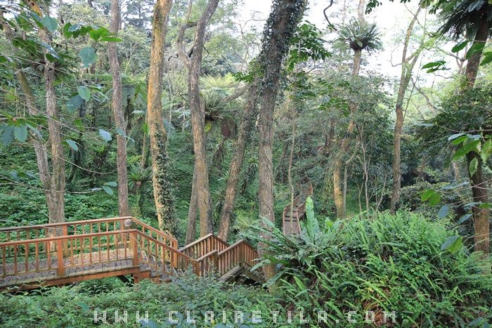 20251024-oi0g4 20251024-oi0g4