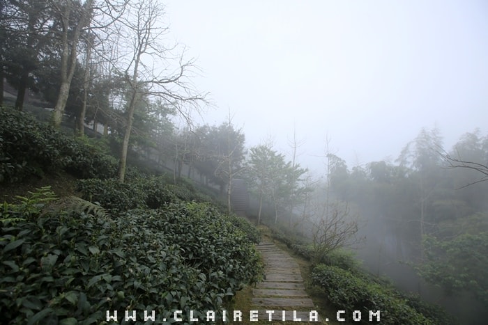 20251024-phtjp 20251024-phtjp