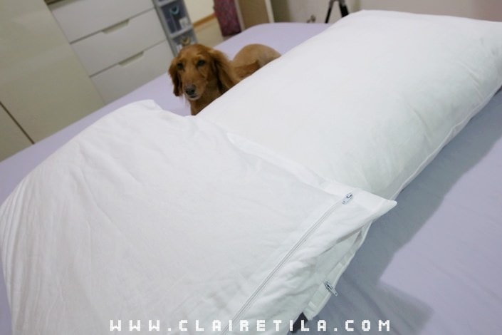 20251024-pjvyd 20251024-pjvyd