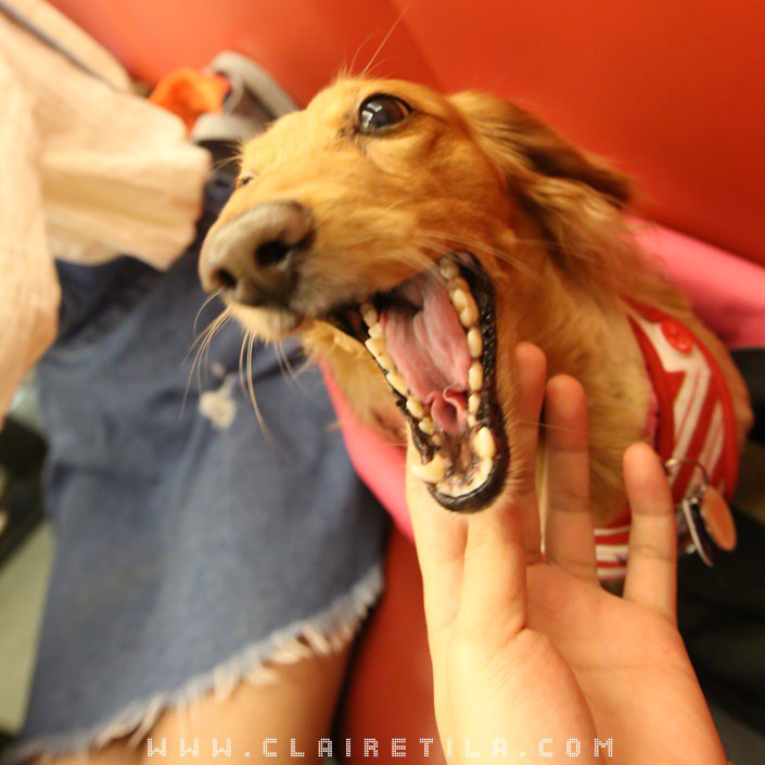 20251024-pzv37 20251024-pzv37