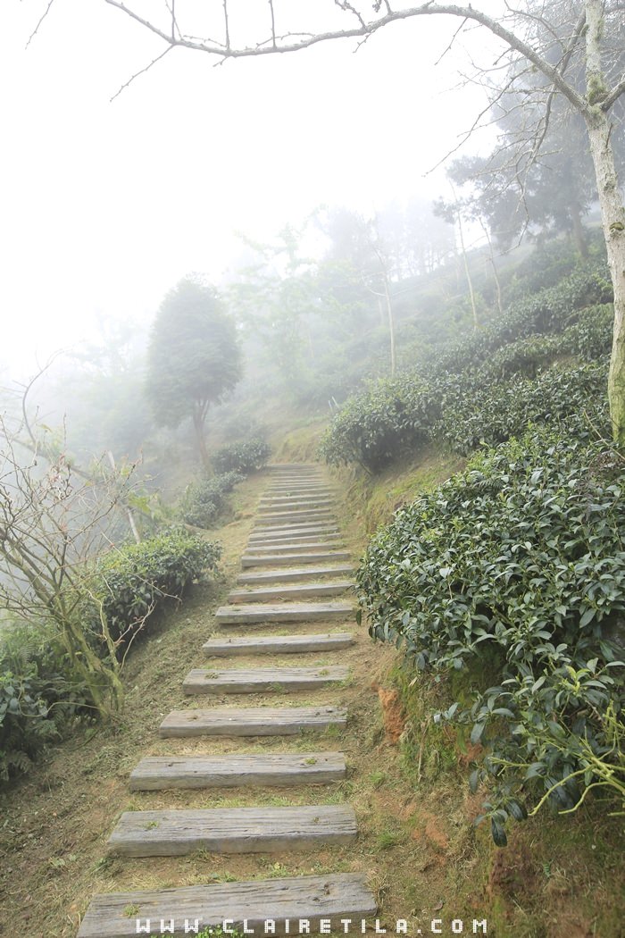 20251024-q317l 20251024-q317l