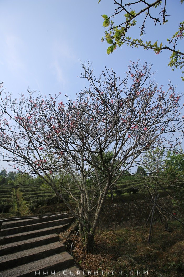 20251024-q9ujt 20251024-q9ujt