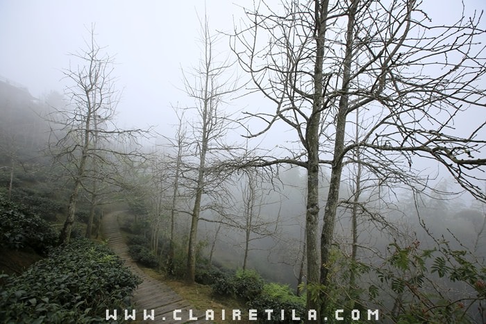 20251024-rs2cd 20251024-rs2cd