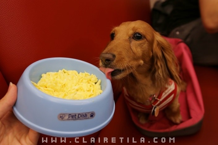 20251024-xi47j 20251024-xi47j