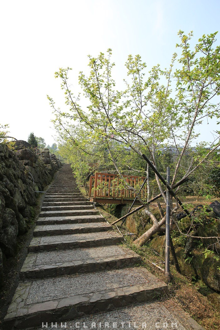 20251024-xpcs1 20251024-xpcs1