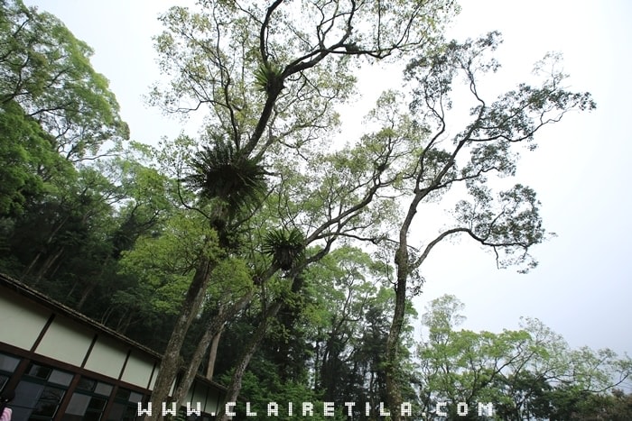 20251024-yeesy 20251024-yeesy