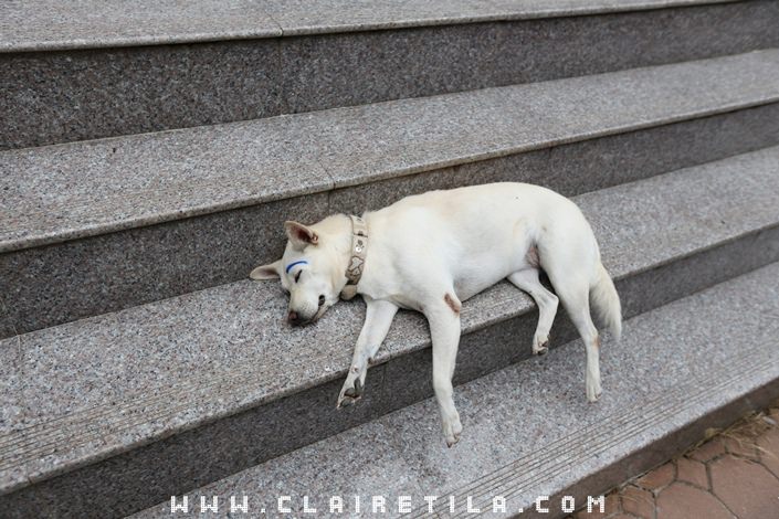 20251024-32w4c 20251024-32w4c