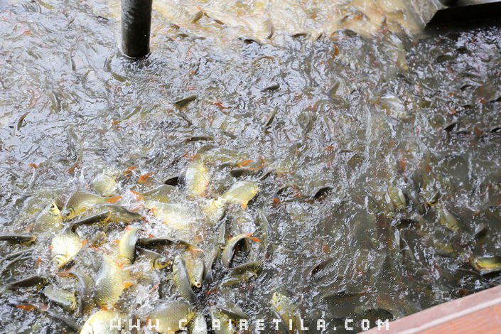 20251024-87mcs 20251024-87mcs