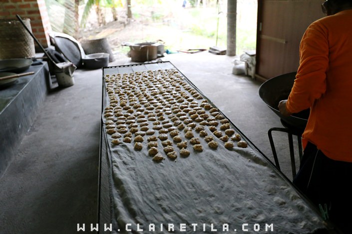 20251024-urta2 20251024-urta2