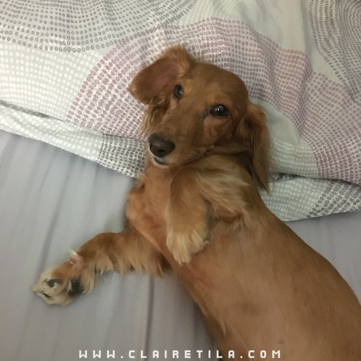 20251024-07kp1 20251024-07kp1