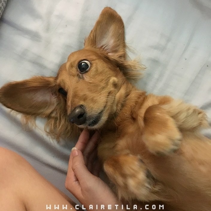 20251024-0zvcs 20251024-0zvcs