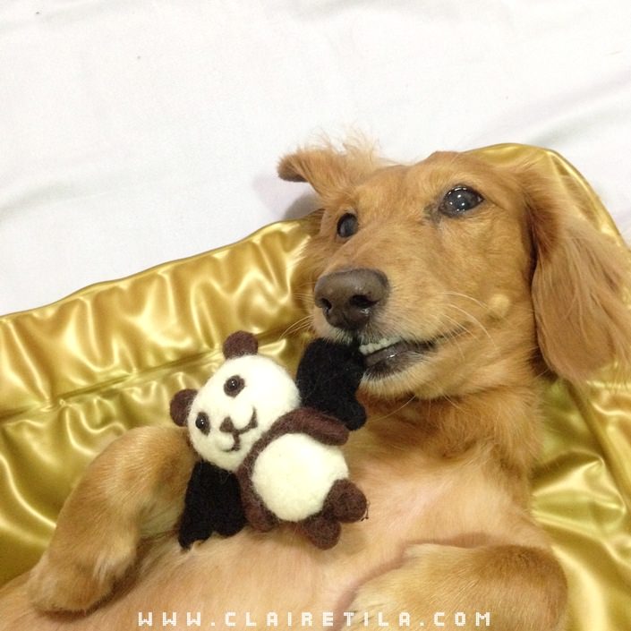 20251024-1584b 20251024-1584b